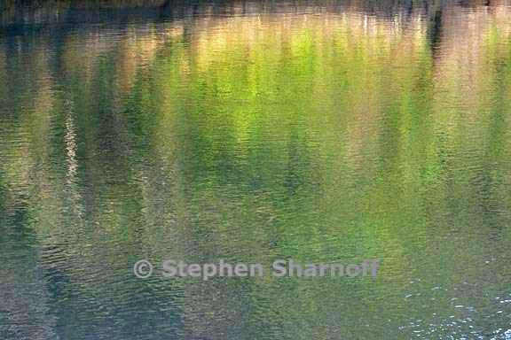 river reflection 3706 1 graphic